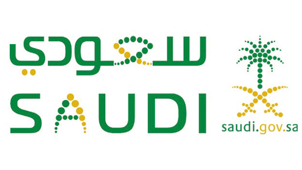 Saudi arabia an e govt emerging leader